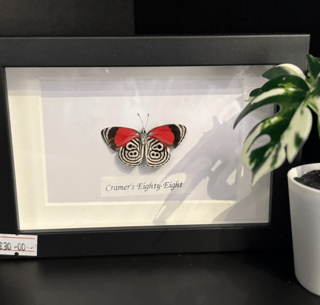 Cramer's Eighty-Eight